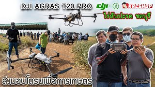 โดรนเกษตร DJI T20PRO พ่นยา ไร่สับปะรด สดวก รวดเร็ว แม่นยำ ปลอดภัย