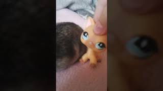 Lps Music Video Pre Carolinu Chylovu