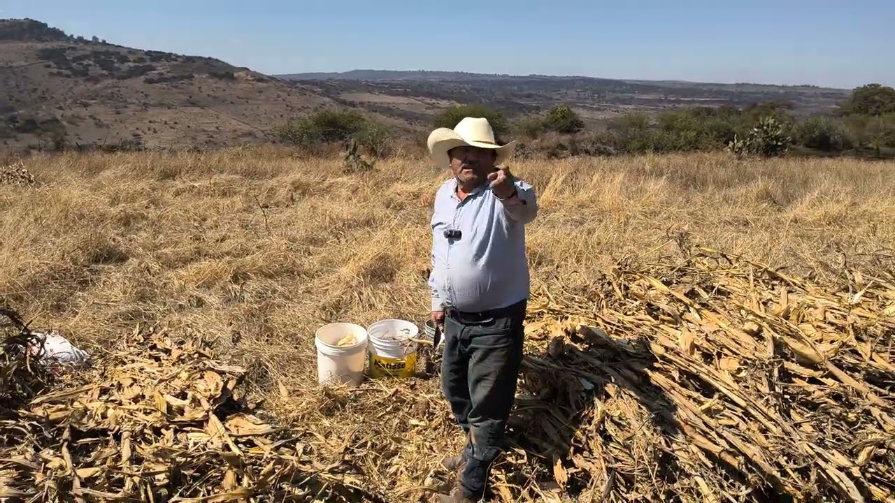 mi tío en la mesita piscando