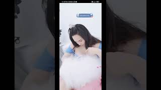 Palmiier Bigo Thai Beauty 8-23