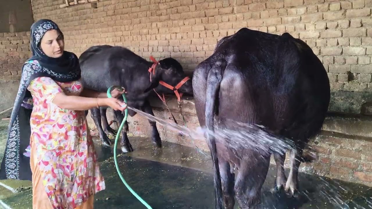 16 फ़रवरी 2026