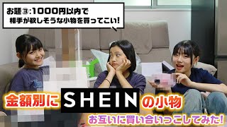 金額別に相手が喜ぶSHEINの小物を買ってこないといけません！1人10個ずつ金額別にSHEINの小物を買い合いっこしてプレゼントしてみた！【買い放題】【購入品紹介】