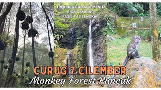 CURUG CILEMBER | MONKEY FORESTNYA BOGOR