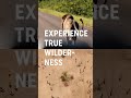 Discover Tanzania Turkish Airlines Discover Tanzania Turkish Airlines