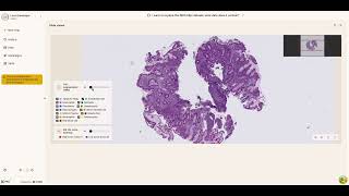 K Pro | Histology Capabilities