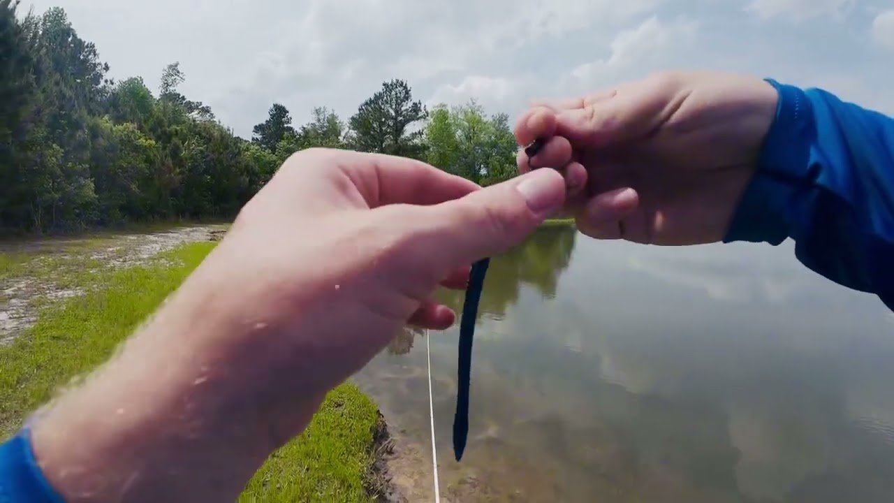 It’s always a great day to do some bass fishing!