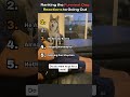 Ranking The Funniest Dog Reactions To Going Out