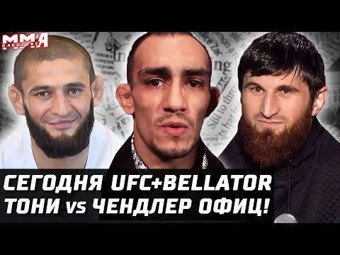 Сегодня UFC + Bellator. Тони - Чендлер. Уиттакер - Веттори. Анкалаев и Сантос. Чимаев, Бернс, Усман