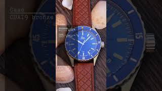 Summer with Bronze Blue Eza Watch Sealander Diver Review