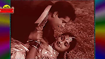 MOHAMMED RAFI SAHAB~Film~PYAR KIYA TO DARNA KYA~{1963}~Jan e Bahar Husn Tera BeMisal Hai~[*TRIBUTE*]