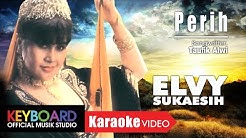 Elvy Sukaesih - Perih [OFFICIAL]  - Durasi: 3:57. 