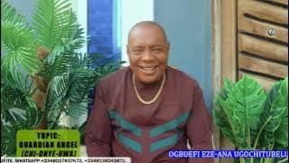 Guardian Angel (Chionyeuwa)