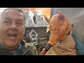 Content Man sees spooky deals at Spirit Halloween!