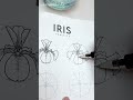 How to draw an IRIS #inprint #drawingtutorial