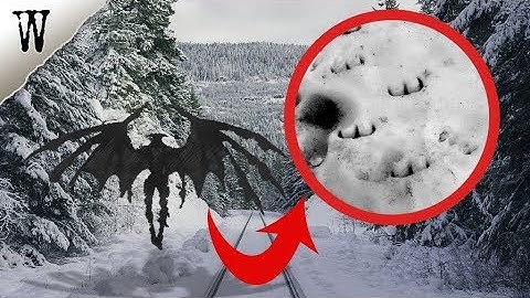 The Mysterious DEVIL