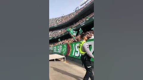 HINCHADA DEL REAL BETIS 🇳🇬🟢⚪🟢 DE ESPAÑA