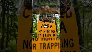 Nature's Hidden Hand: Is This Real? 🌳✋