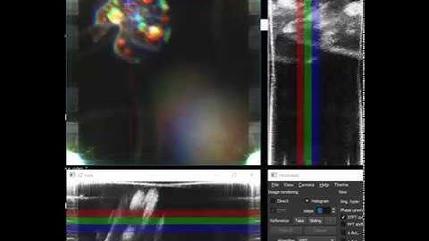 Holographic OCT in color with Holovibes