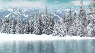 Snow Waltz. The Best Christmas Instrumental  Music. Winter Classical Music. Толеген Мухамеджанов.