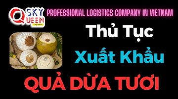 Procedures for exporting fresh coconuts | logistics company in Vietnam | forwarder agent in Vietnam