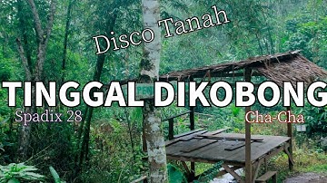 TINGGAL DI KOBONG - SPADIX 28- cha-cha Disco Tanah