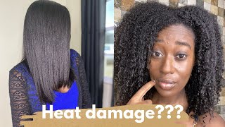 Straight to Curly Hair Reversion: Did I get heat damage? 👀