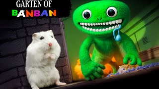 Hamster Adventures In Garten Of Banban Maze In Real Life 🐹 [OBSTACLE COURSE]
