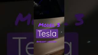 Tesla Model 3 Ambient lighting by JDMovement