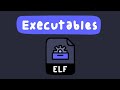 What are Executables? | bin 0x00