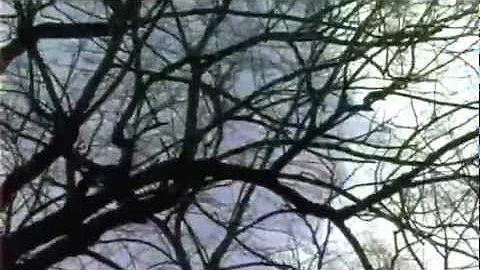 Labyrinth Paul Giger violin solo in the labyrinth ...