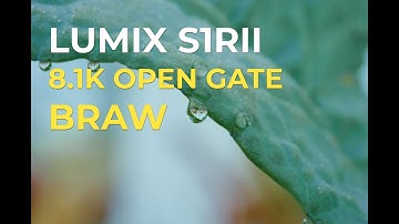 Lumix S1RII / 8.1K Open Gate BRAW + Dynamic Range Expansion