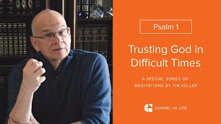 How to Become Evergreen  Psalm 1 Meditation by Tim Keller