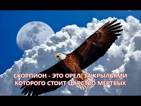 СКОРПИОН ЭТО ОРЕЛ ЗА КРЫЛЬЯМИ КОТОРОГО СТОИТ ЦАРСТВО МЕРТВЫХ