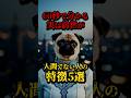 前世が人間でない人の特徴5前世 #都市伝説 #前世 #雑学 #日本