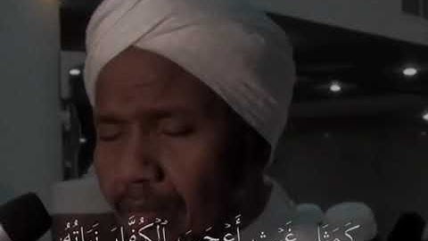 تلاوة طيبة للقرآن ماشاء الله(1)