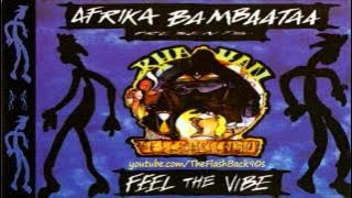 Afrika Bambaataa - Feel The Vibe (Extended Mix)