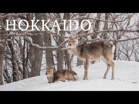 Walking on snow