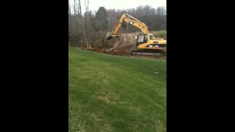Knocking Over Tree with Excavator