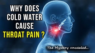 Why Does Cold Water Cause Throat Pain? | Real Science Explained by FacXJunction