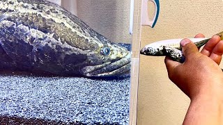 【朗報】巨大魚は家族になりました。｜釣りドラ