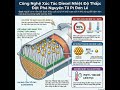 “Rừng Nano” TiO₂: Bí Mật Đằng Sau Cuộc Cách Mạng Khí Thải 🌳⚛️