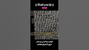﴿فَإِذَا جَاۤءَتِ ٱلصَّاۤخَّةُ﴾ خواتيم سورة عبس من مغرب اليوم 27 شوال 1446هـ #ياسر_الدوسري #y_r_d_30