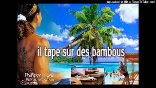 Video thumbnail of "Philippe Lavil il tape sur des bambous reprise cover"