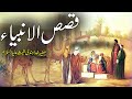 Qisasul anbya  ambia ke qissay  shees as  prophet stories in urdu  rohail voice stories