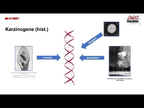 Woher kommen die Mutationen - Karzinogene