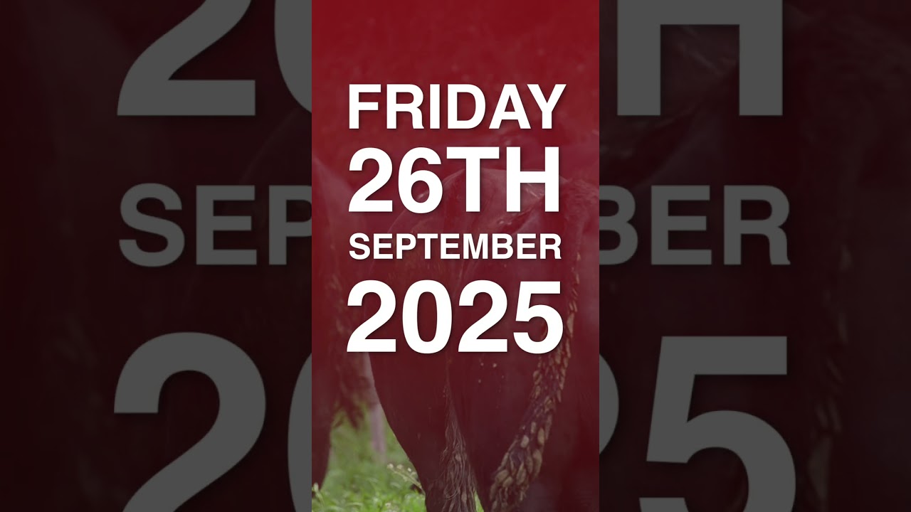 Murdeduke Angus 2025 Spring Sale Teaser