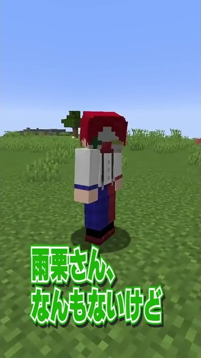 マイクラ隠し通路作り方まとめ