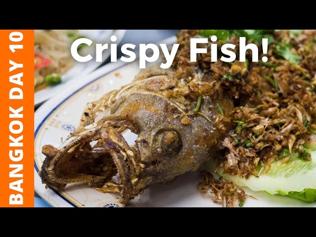 Awesome Deep Fried Fish and Talad Rot Fai (ตลาดรถไฟ รัชดา) - Bangkok Day 10 | Mark Wiens