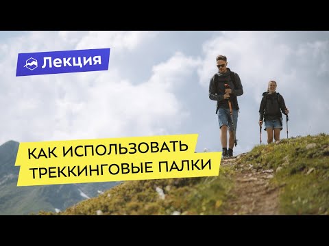 Как и когда использовать треккинговые палки