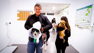 Two abused dogs with no hope get an emotional visit from her rescuer